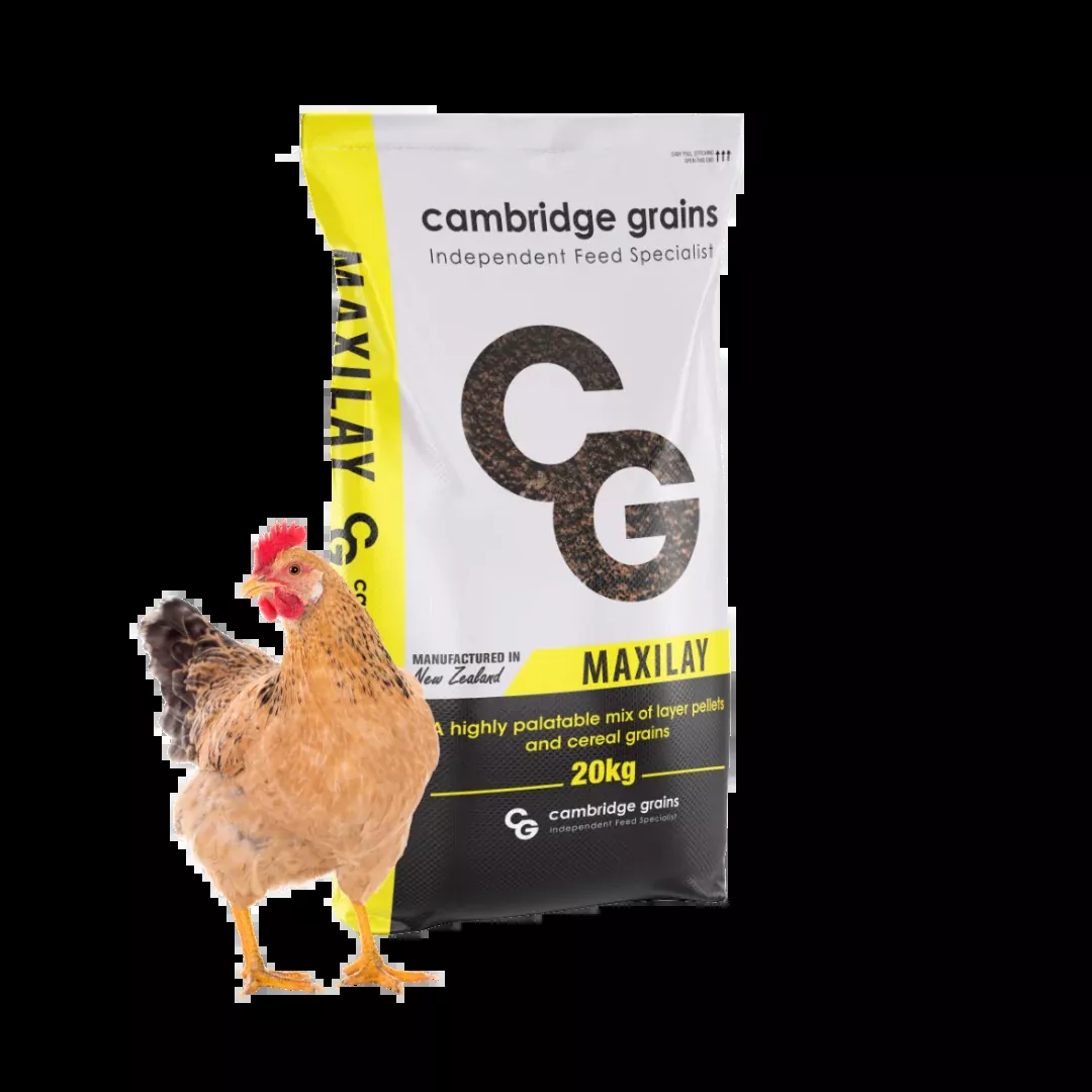 Cambridge Grains MaxiLay Poultry Pellet & Cereal Mix
