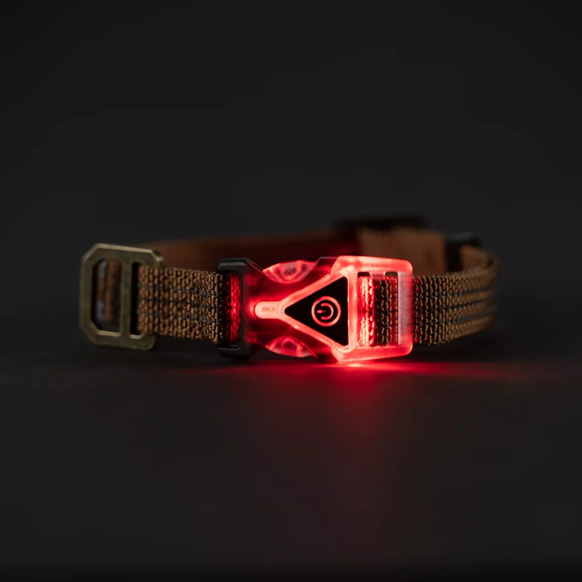 Carhartt Lighted Dog Collar