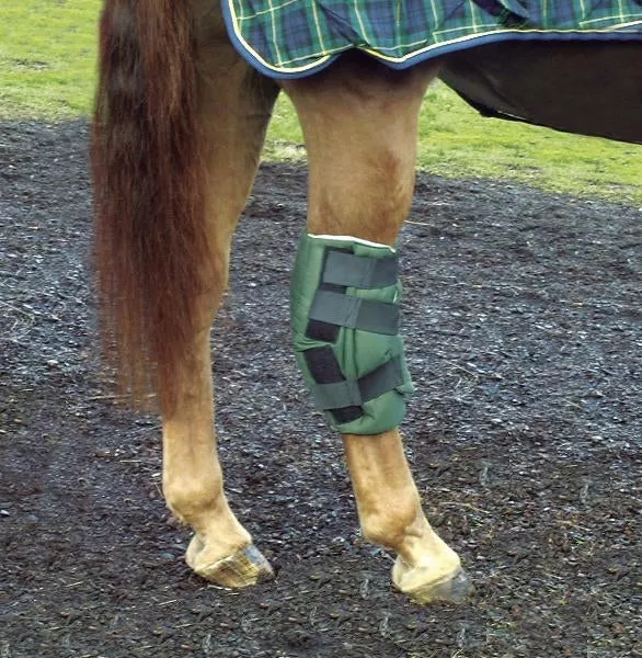 Cashel Boomers Hock Sock