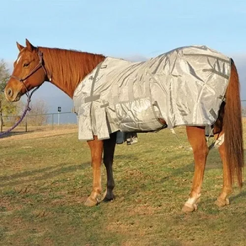 Cashel Crusader Light Weight Flysheet