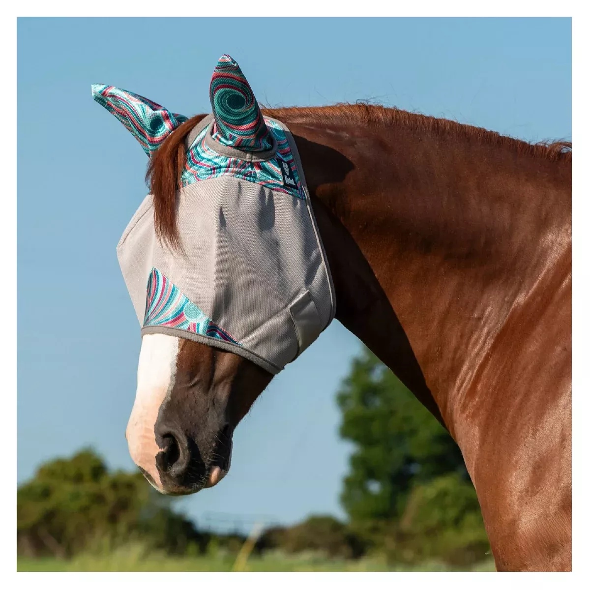 Cashel Crusader Patterned Fly Mask