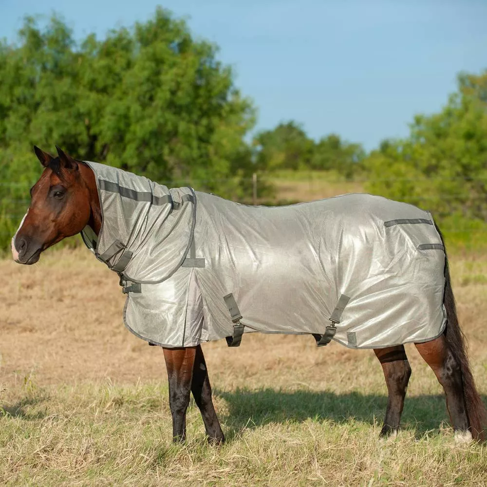 Cashel Econo Fly Sheet w/Neck Guard