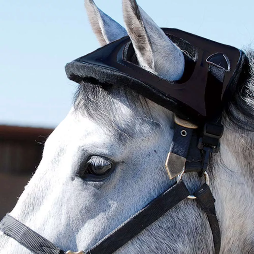 Cashel Horse Helmet