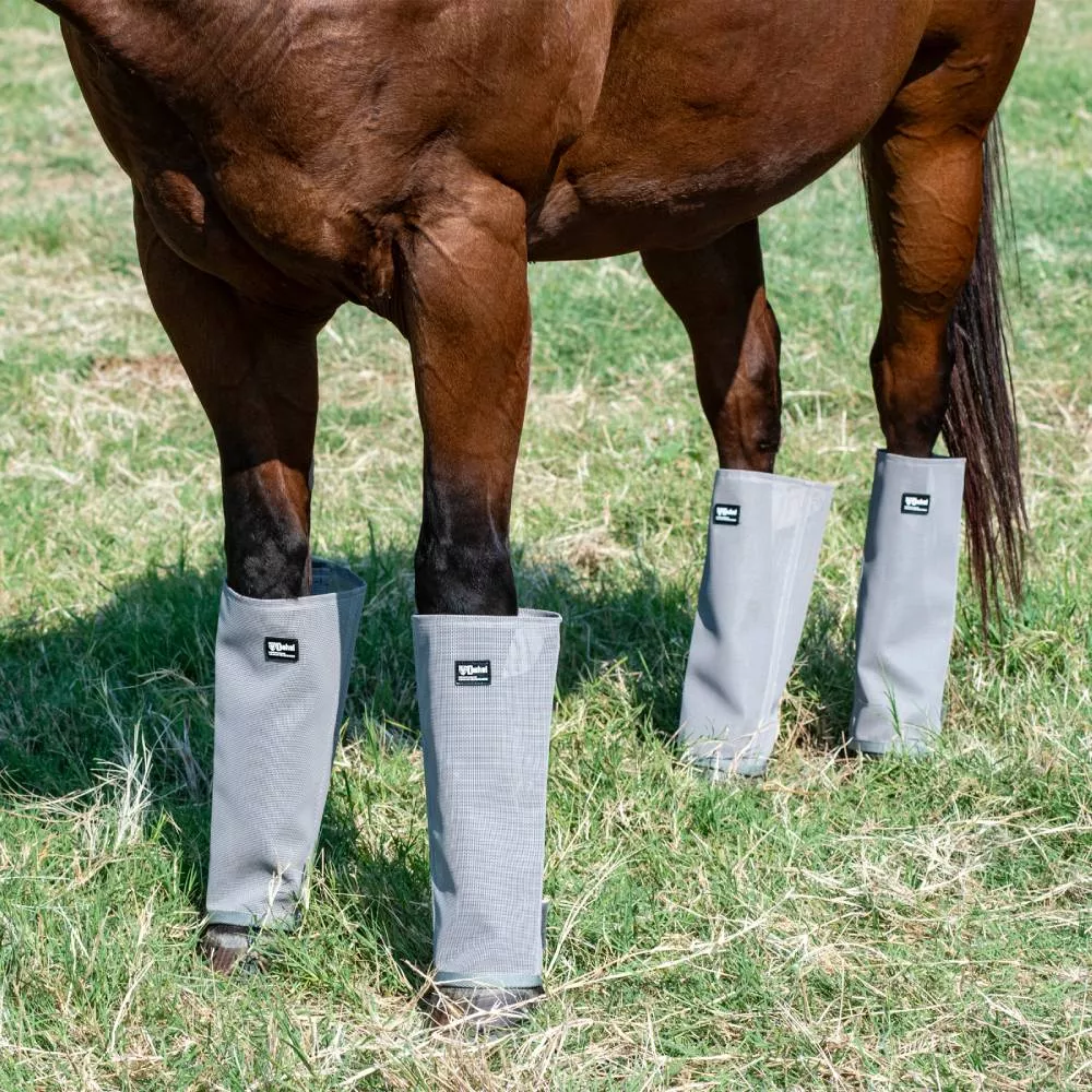Cashel LG4 Crusader Leg Guard
