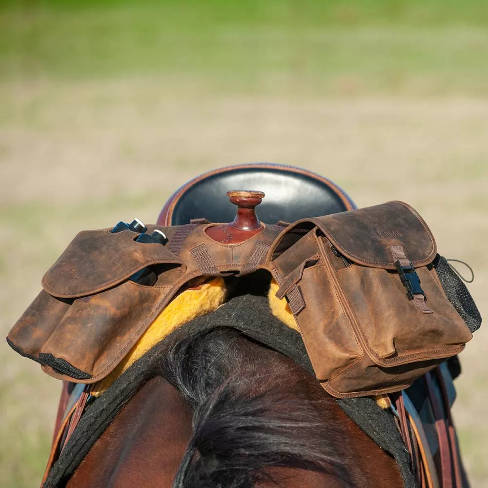 Cashel Medium Leather Horn Bag