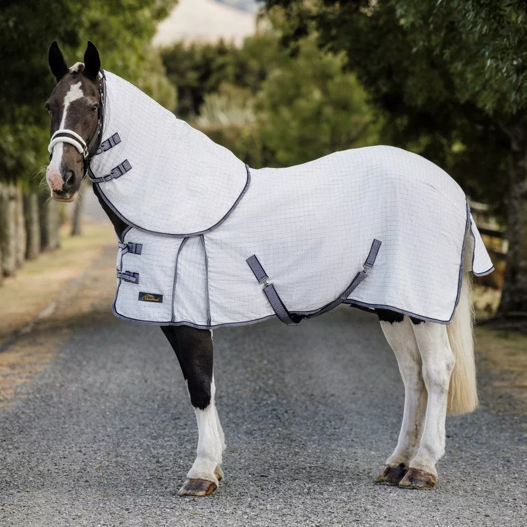 Cavallino York Summer Detach A’ Neck