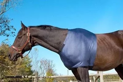 Centaur Lycra Shoulder Guard