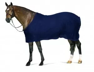 Centaur Show Scrim
