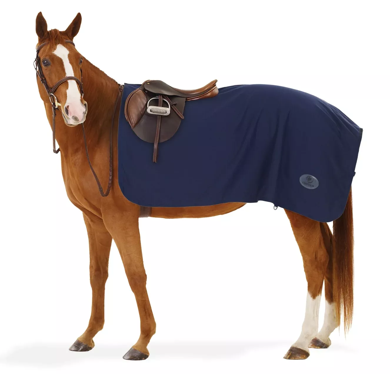 Centaur Turbo-Dry Exercise Sheet