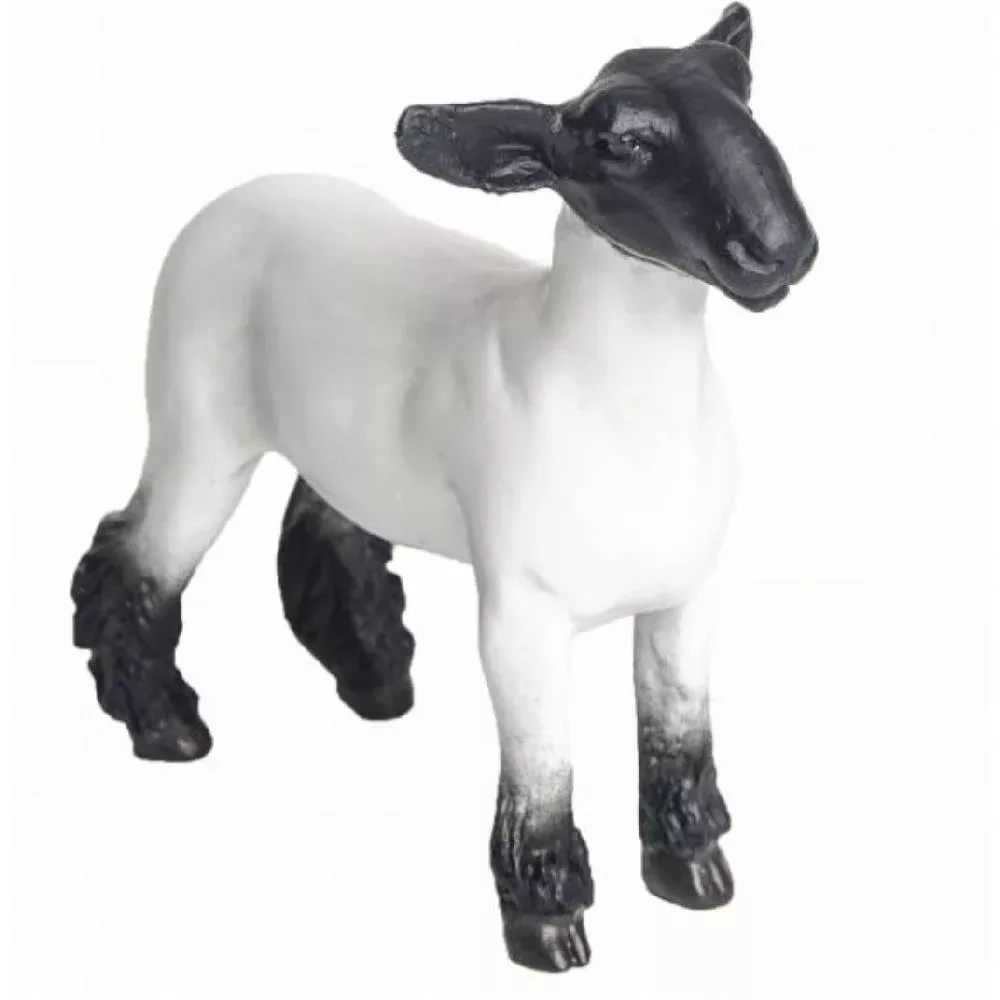 Champion Crossbred Market Lamb