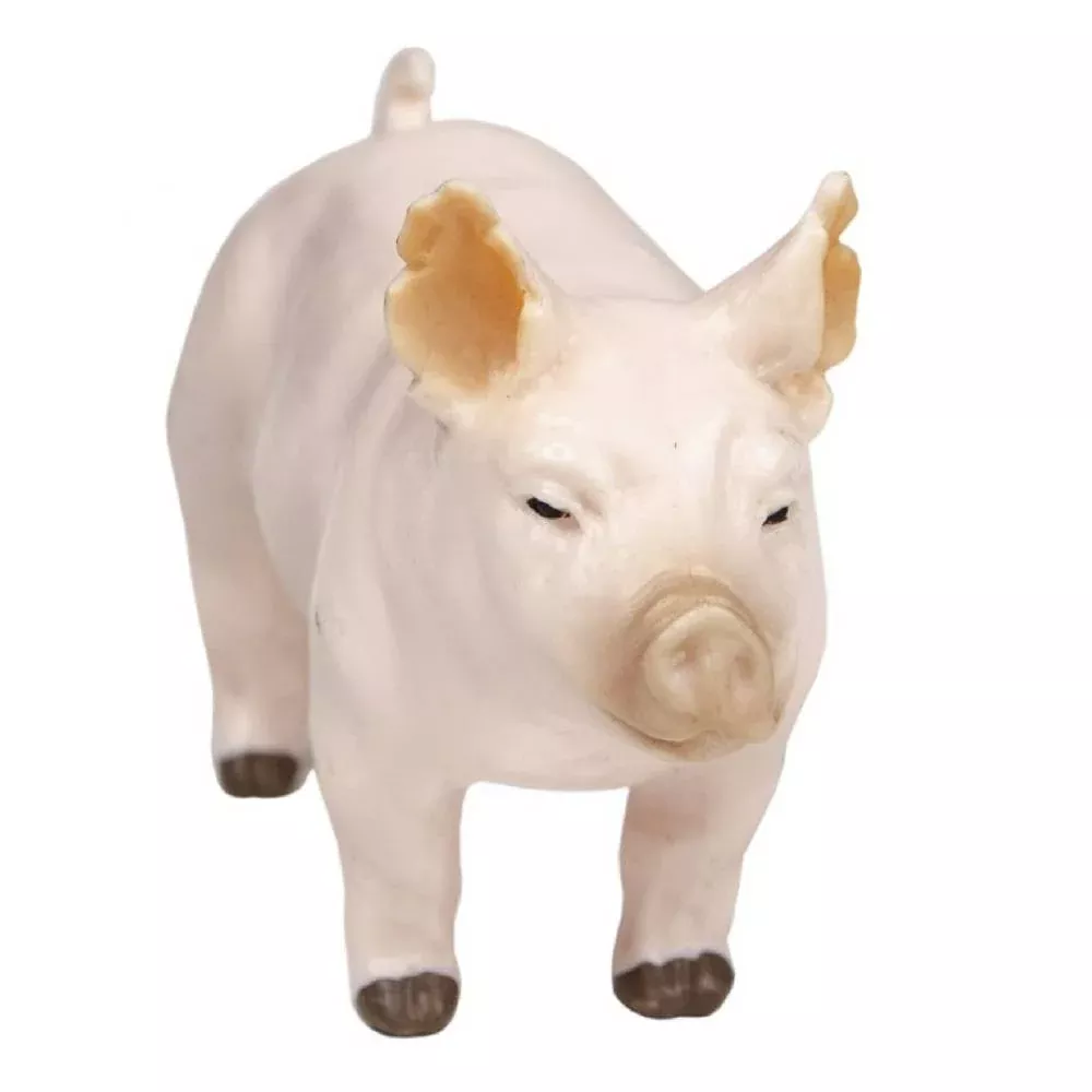 Champion Yorkshire Show Pig