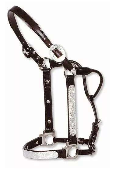 Circle Y Engraved Silver Show Halter