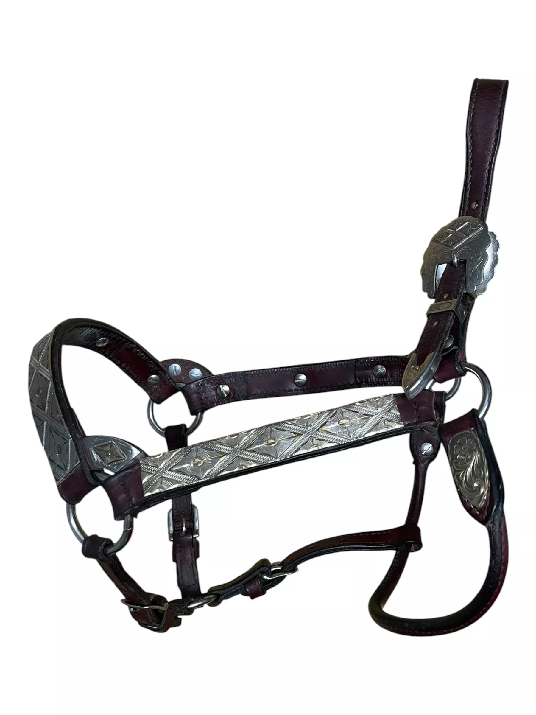 Circle Y Show Halter - Brown/German Silver - Est. F/S - USED