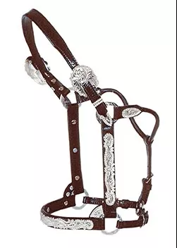 Circle Y Silver Berry Edge Show Halter