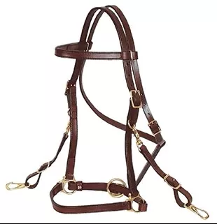 Circle Y Trail Halter/Headstall