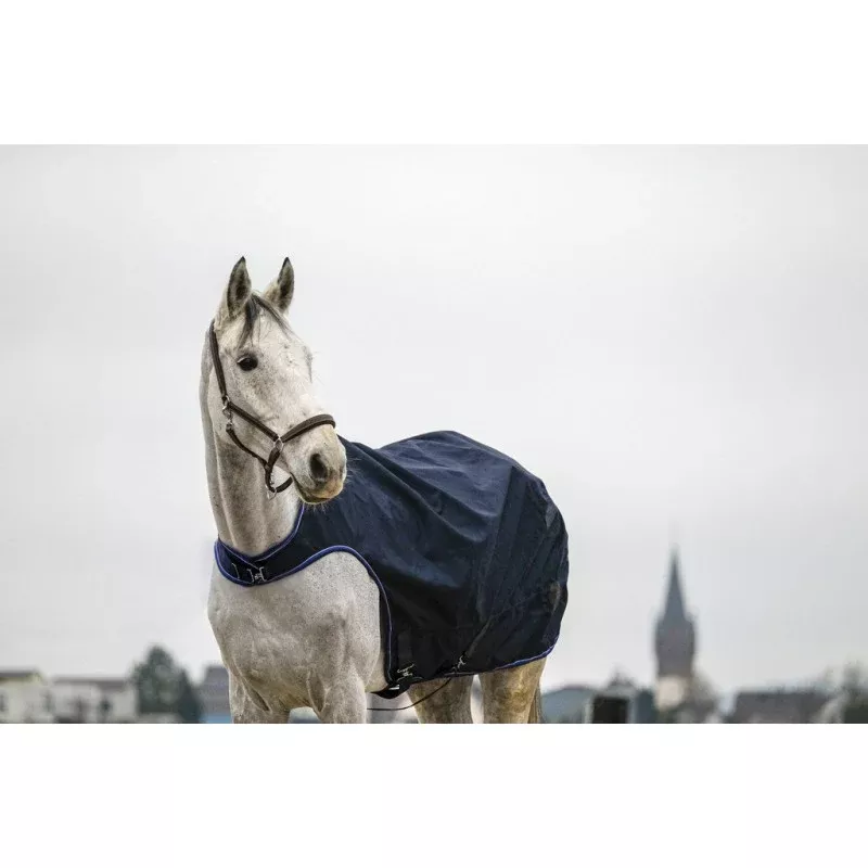 Classic 1200D Walker Rug