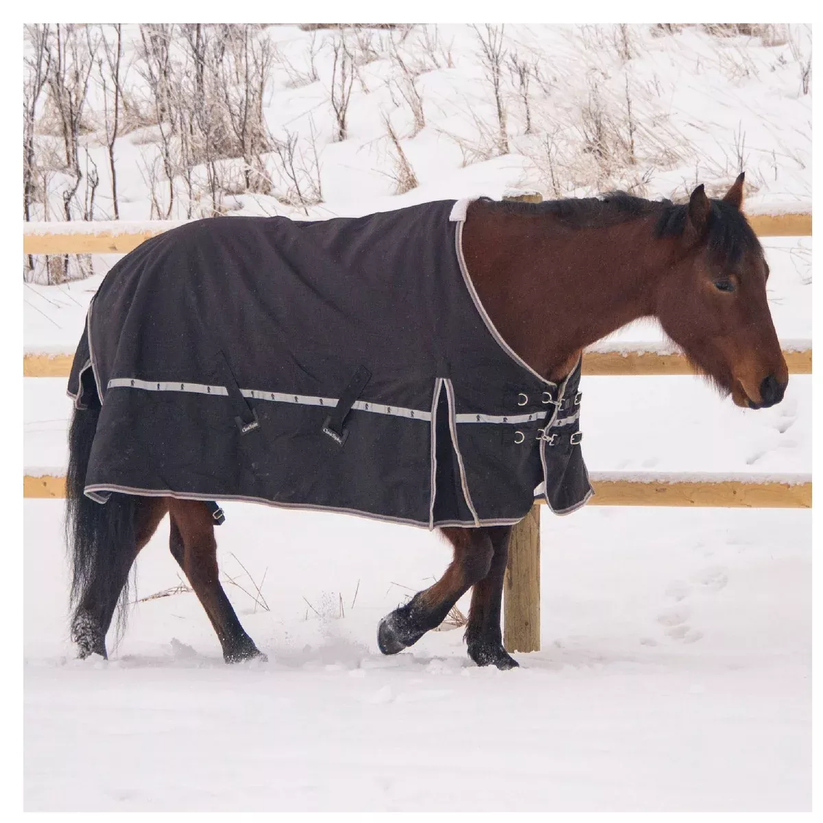 Classic Equine 10K Cross Trainer Winter Blanket