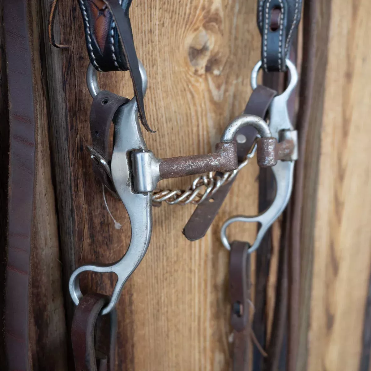Classic Equine Correction Bridle Rig