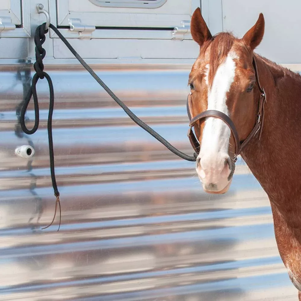 Classic Equine Premium Lead Rope