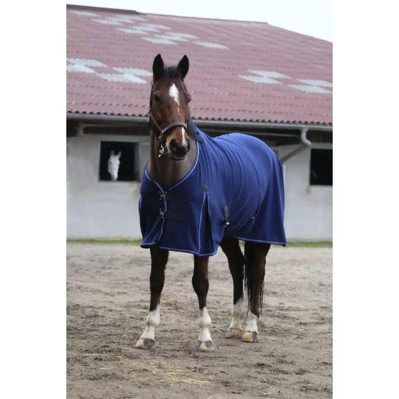 Classic Polar Fleece Sheet