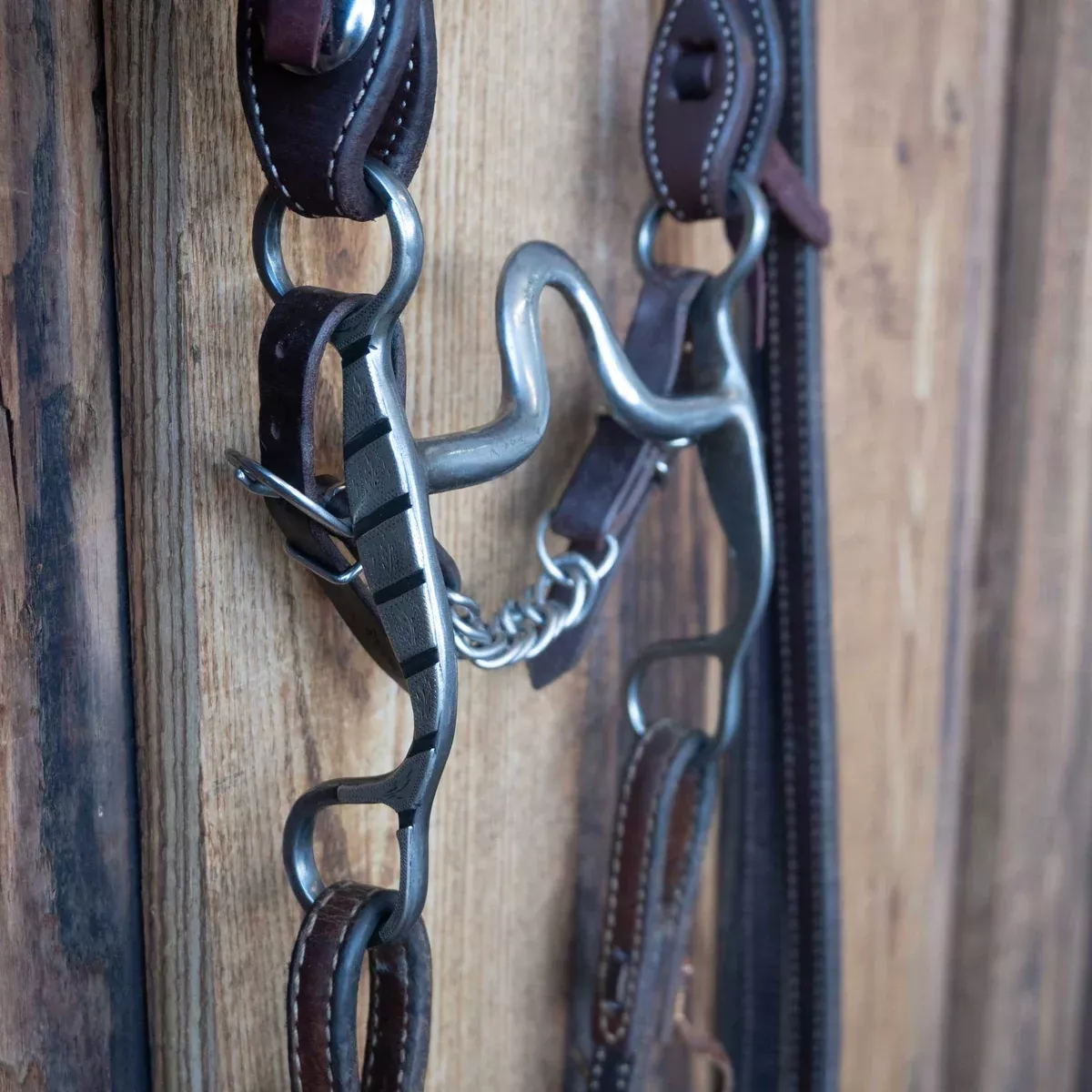 Clint Martin Solid Port Bridle Rig w/Split Ear Headstall