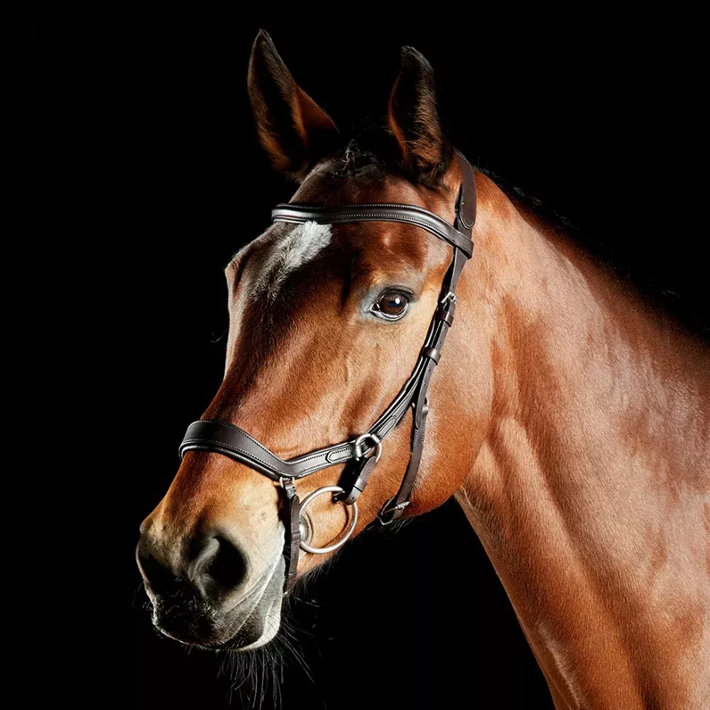 Collegiate Comfitec Daina Bridle