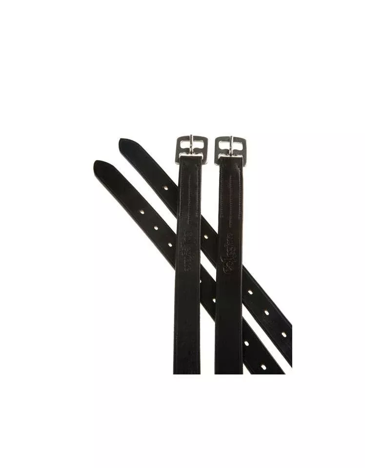 Collegiate Web Core Stirrup Leathers