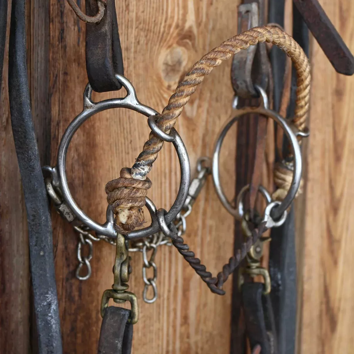 Combo Twisted Wire Snaffle Gag Bridle Rig