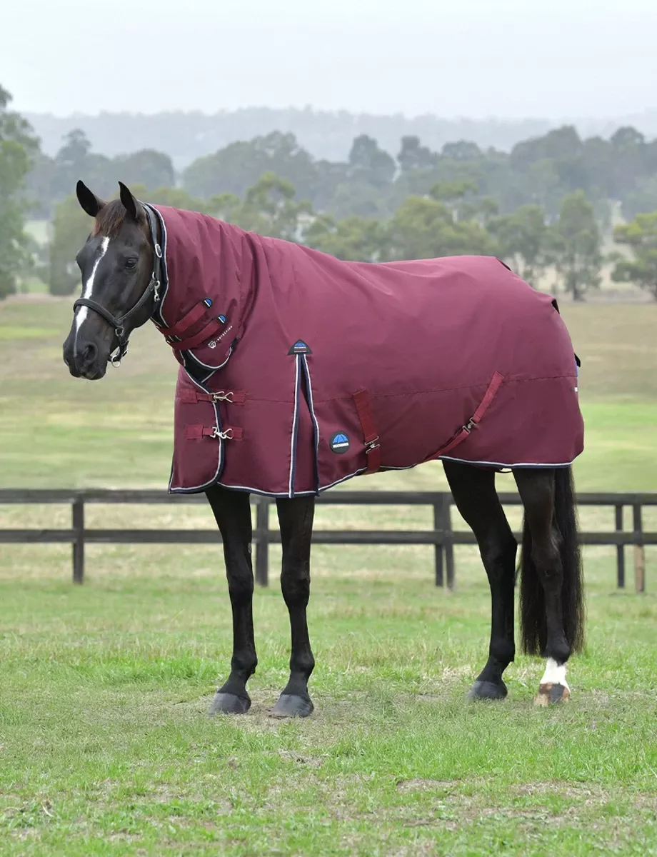 ComFiTec Essential Turnout Combo 220G