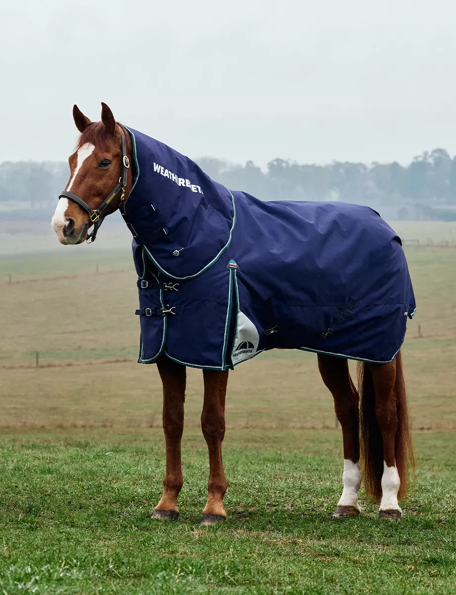 ComFiTec Plus Dynamic Turnout Detach-A-Neck 100G