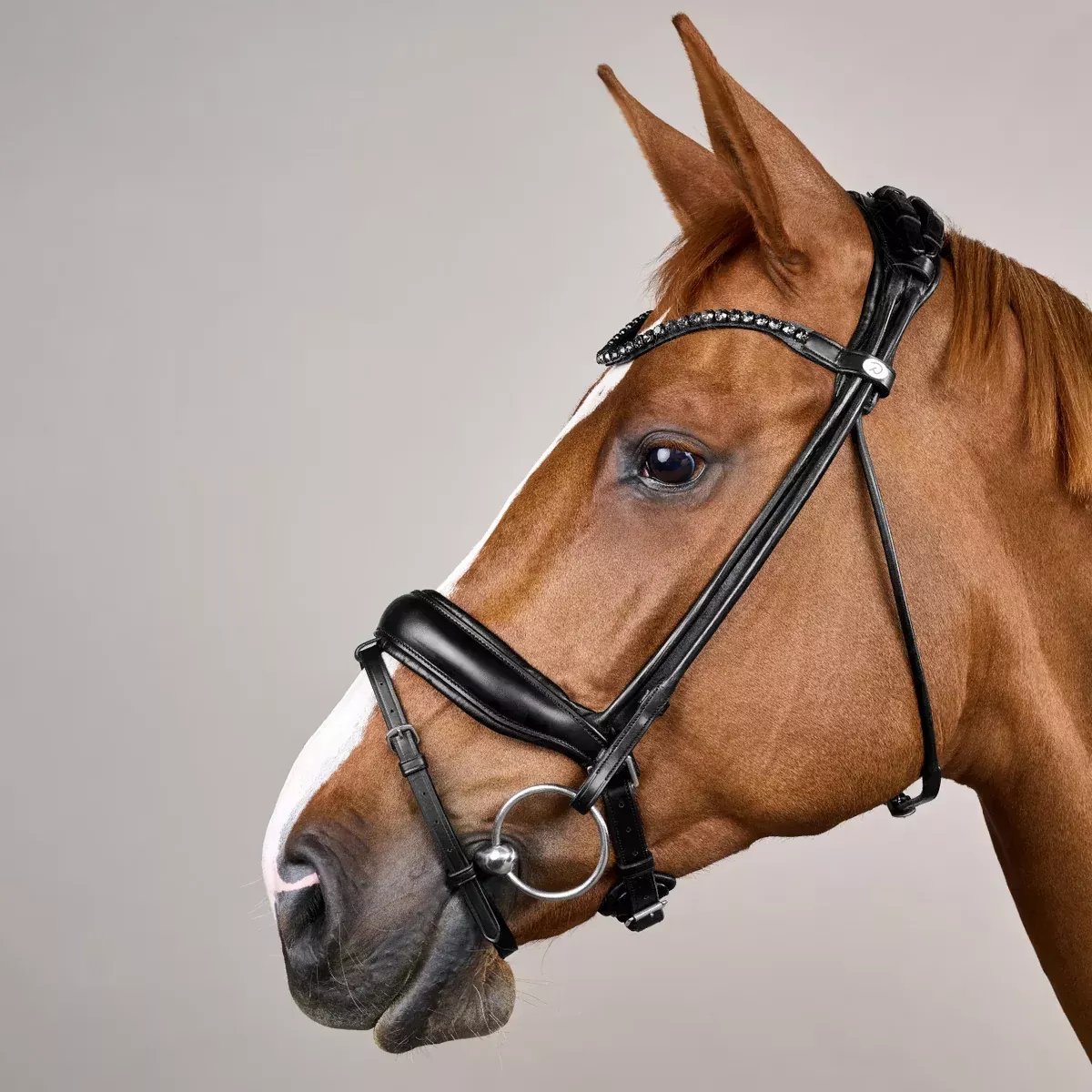 ComfoHead Bridle WO