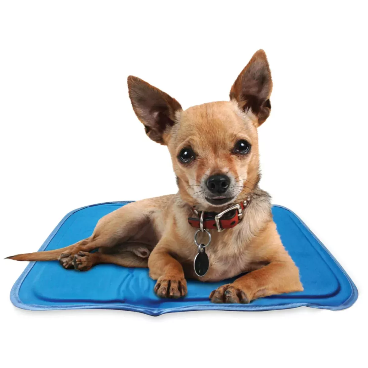 Cool Pet Pad
