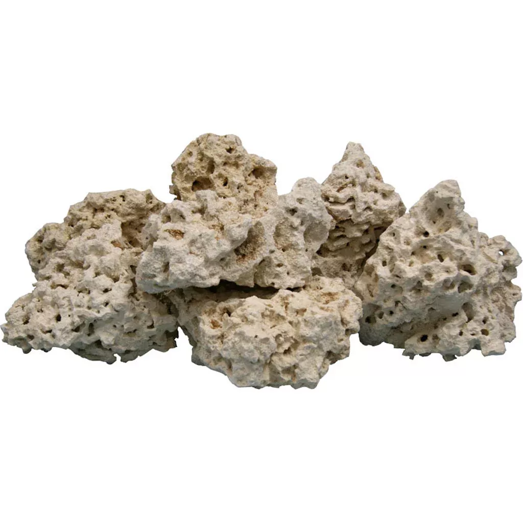 Coral Base Rock 40 lb (4-8 in Pieces)