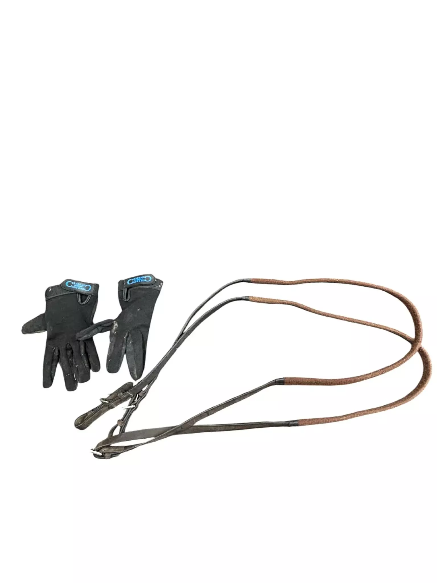 Correct Connect Reins and Gloves - USED