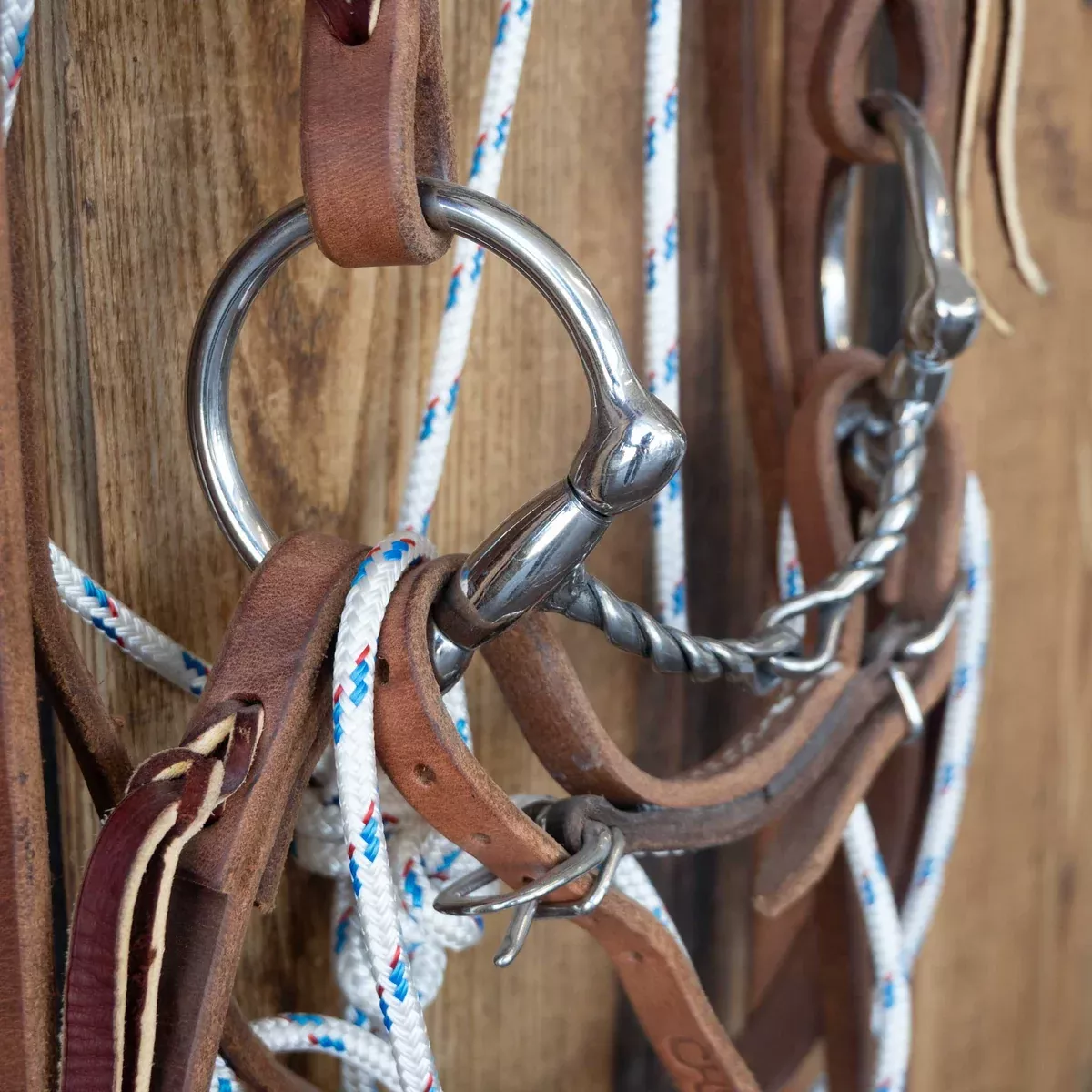 Cow Horse Supply D-Ring DL Twist Snaffle Bridle Rig w/Martingale