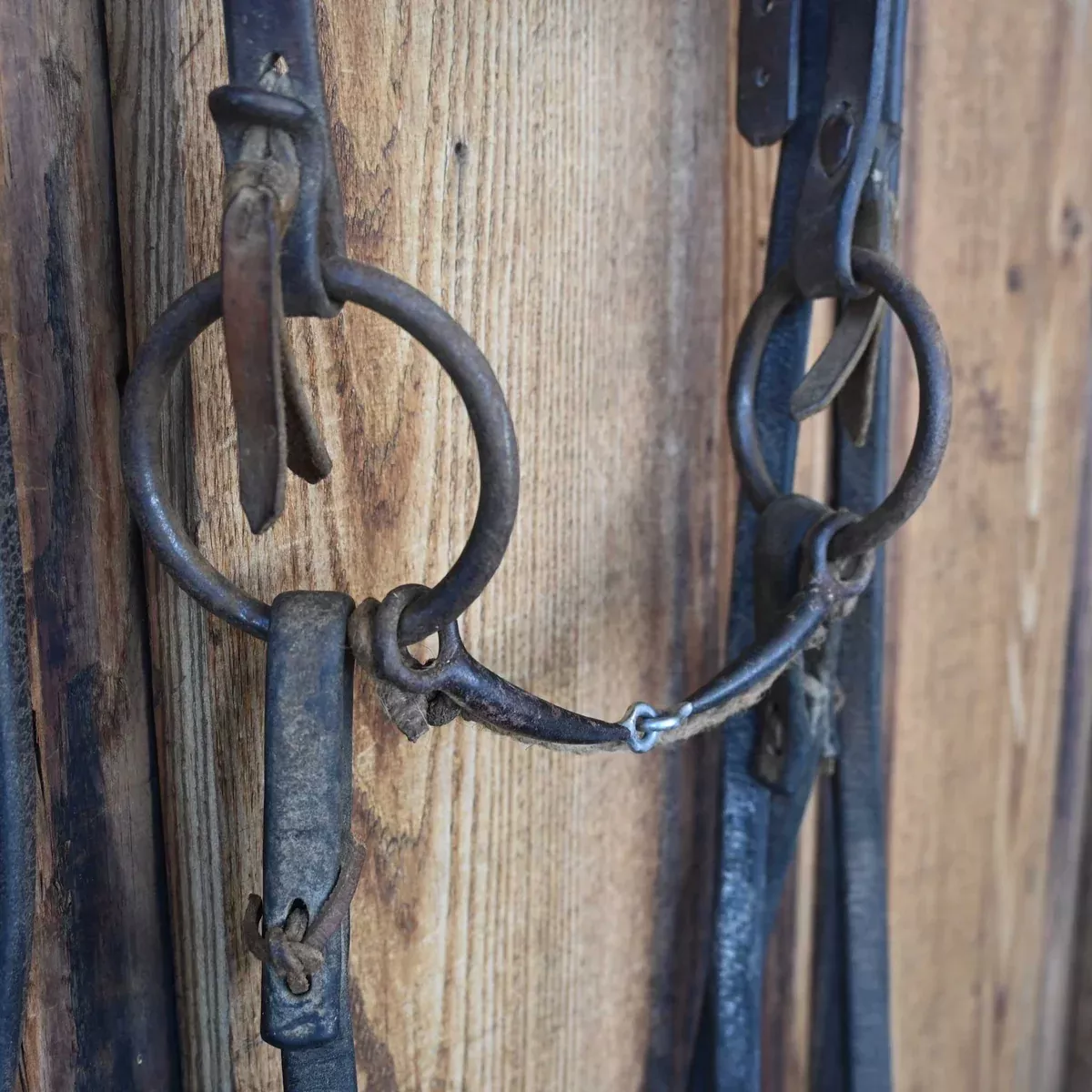 Cow Horse Supply O-Ring Snaffle Bridle Rig w/Browband Headstall