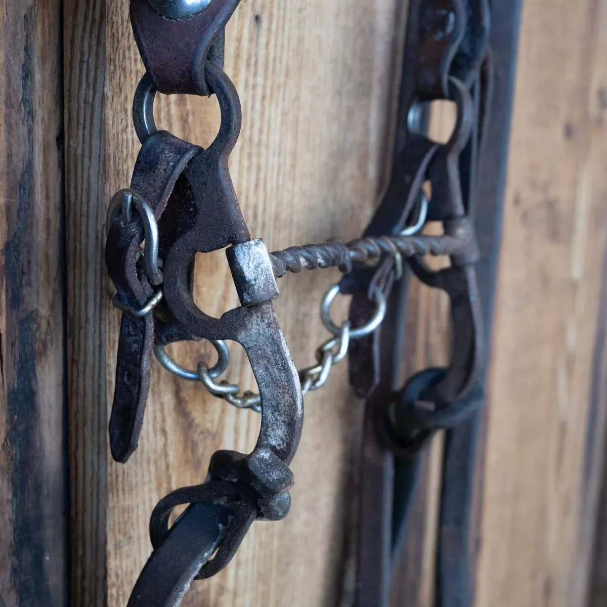 Cow Horse Supply Twisted Wire Snaffle Bridle Rig w/Single Ear Headstall