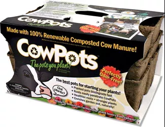 CowPots Sixcell Square Pots, 3 in, 3 Pack