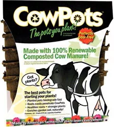 CowPots Square Pots, 3 in, 12 Pack