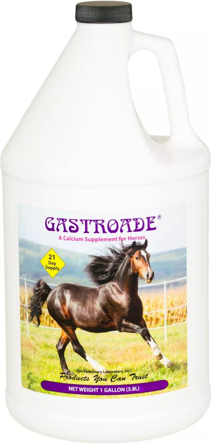 Cox Gastroade Calcium Supplement Cherry 1 gal