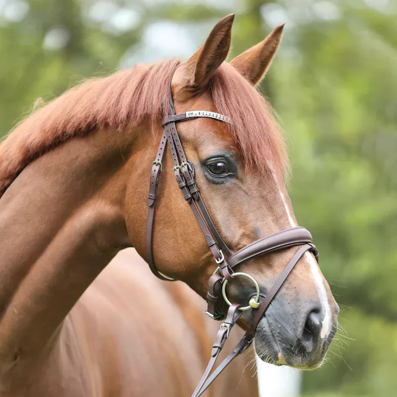 Crank Noseband Bridle Everlyn