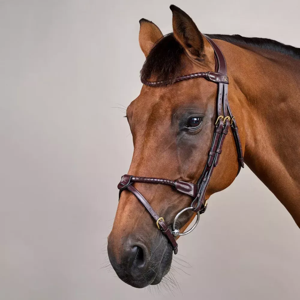 D Collection Braided Flash Noseband Bridle
