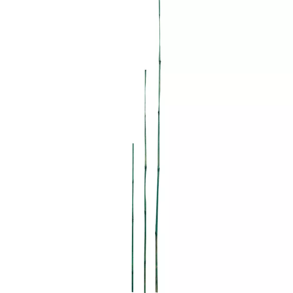 D&D Garden Bamboo Garden Stakes Green 3 ft, 25 Pack