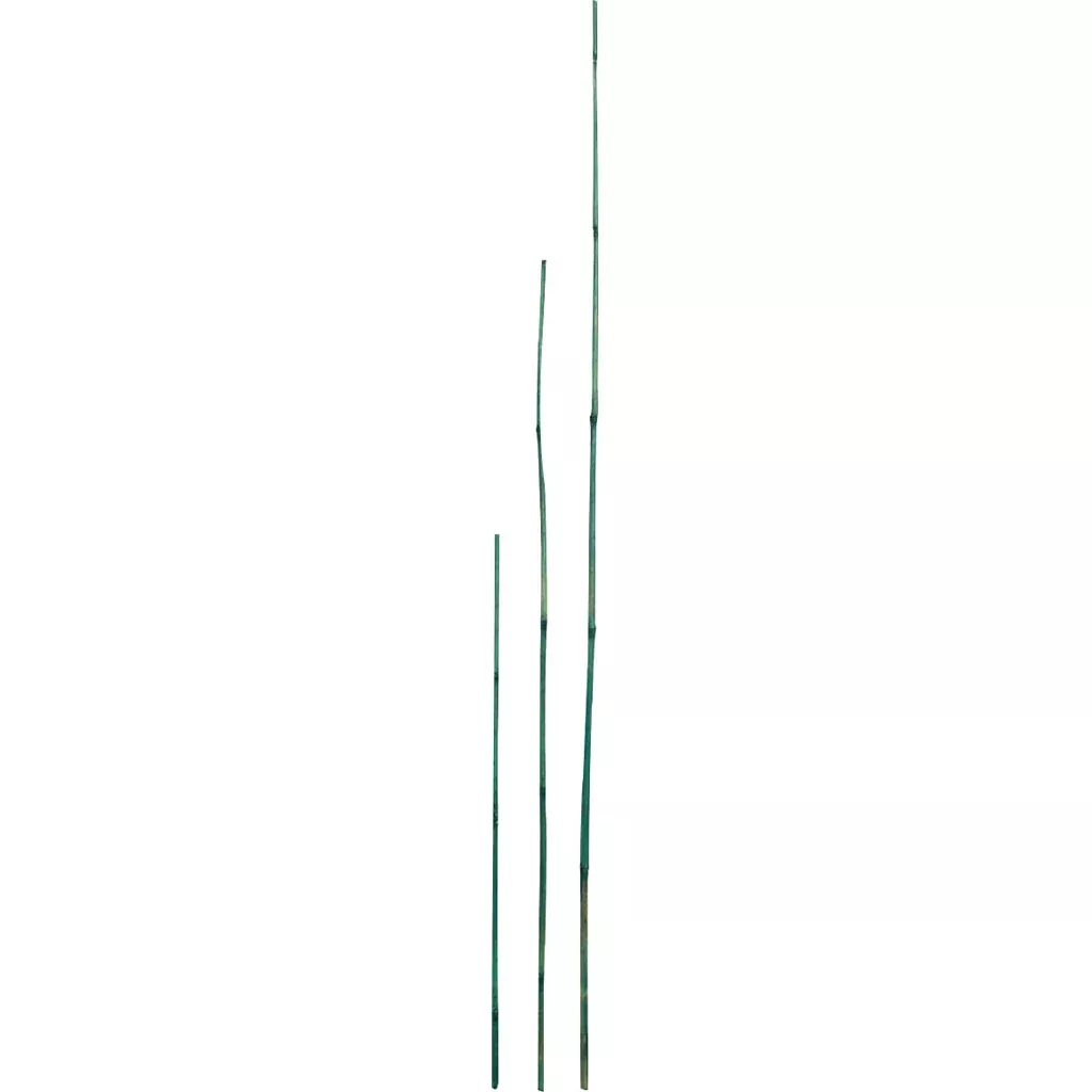 D&D Garden Packaged Bamboo Stakes 4 ft Green 6 Pack