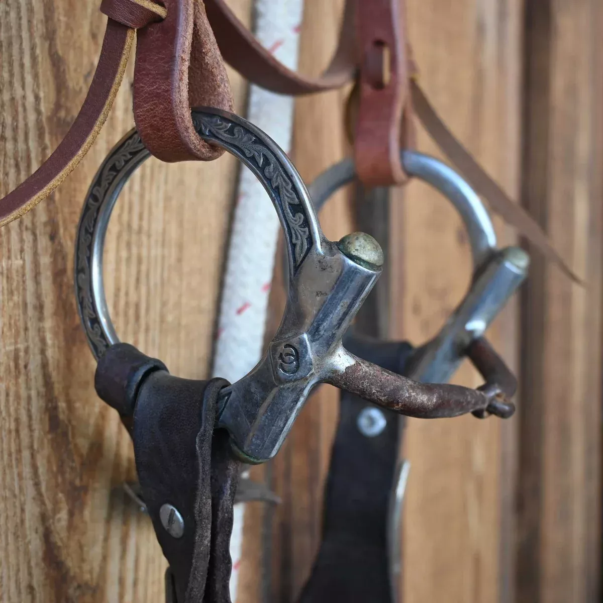 D-Ring Angled Snaffle Bridle Rig w/Browband Headstall