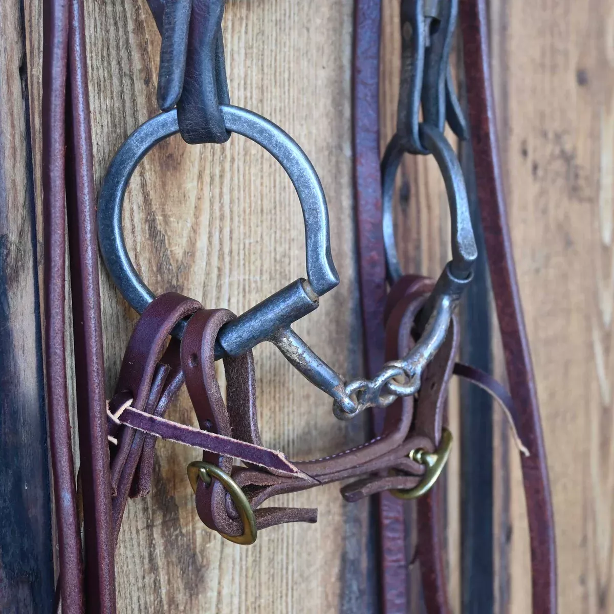 D-Ring French Link Bridle Rig w/Browband Headstall