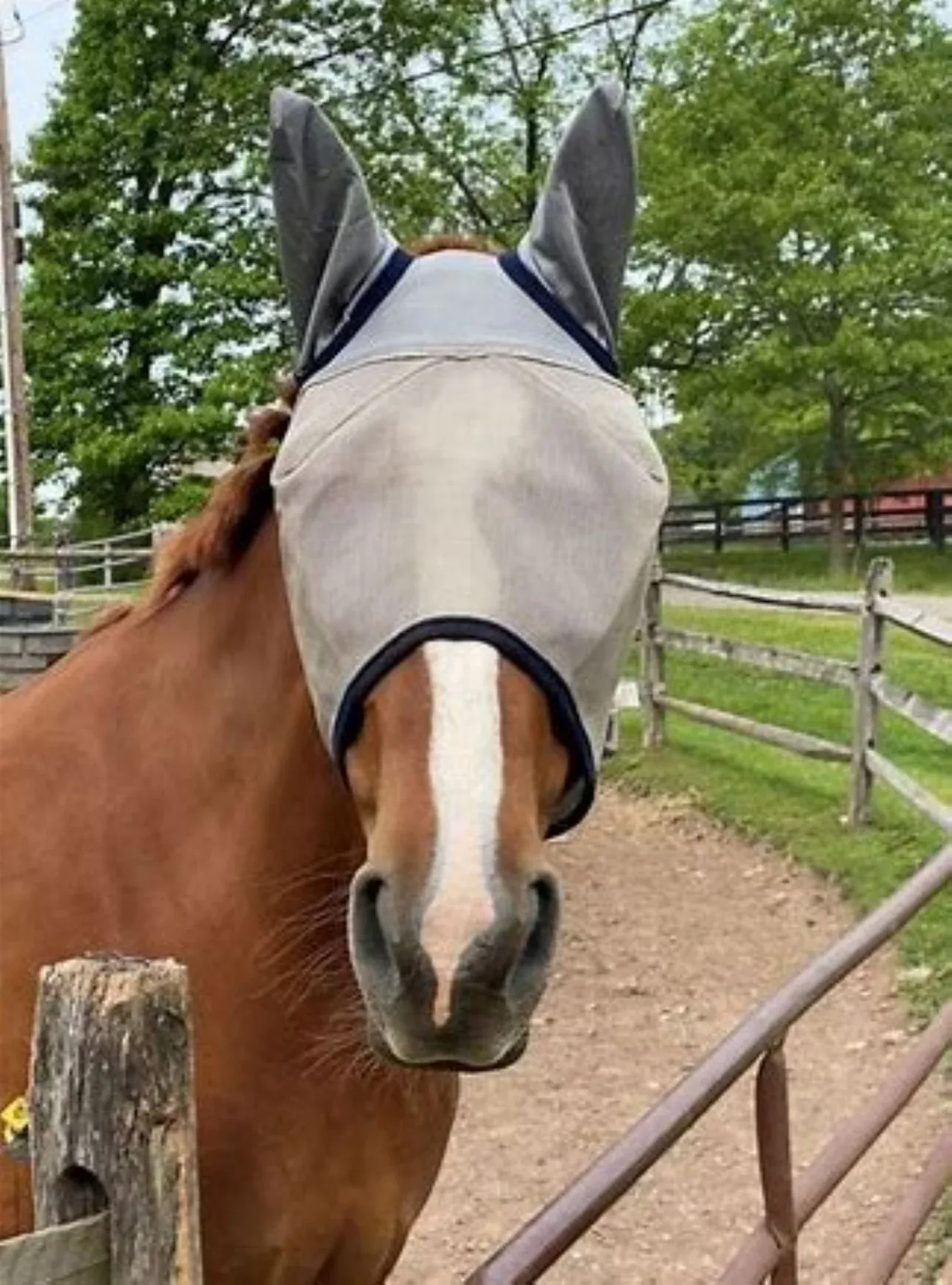 Defender Fly Mask with Ears and Reflective Trim