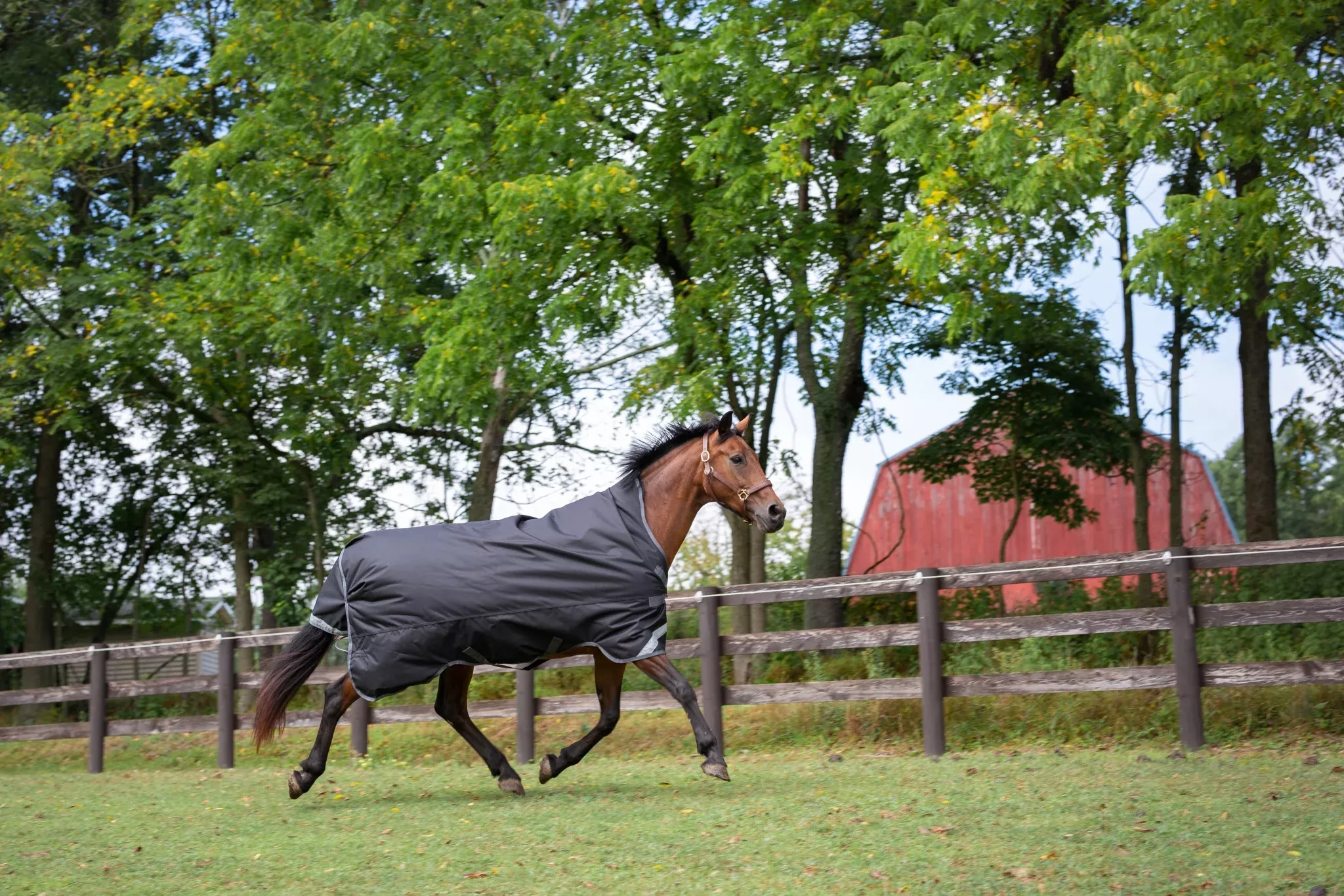 Defender Titanium 1200D High-Neck Turnout Sheet