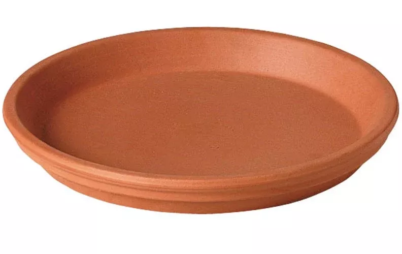 Deroma 4 in. Red Clay Saucer
