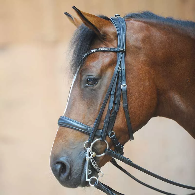 Double Bridle Ivonne